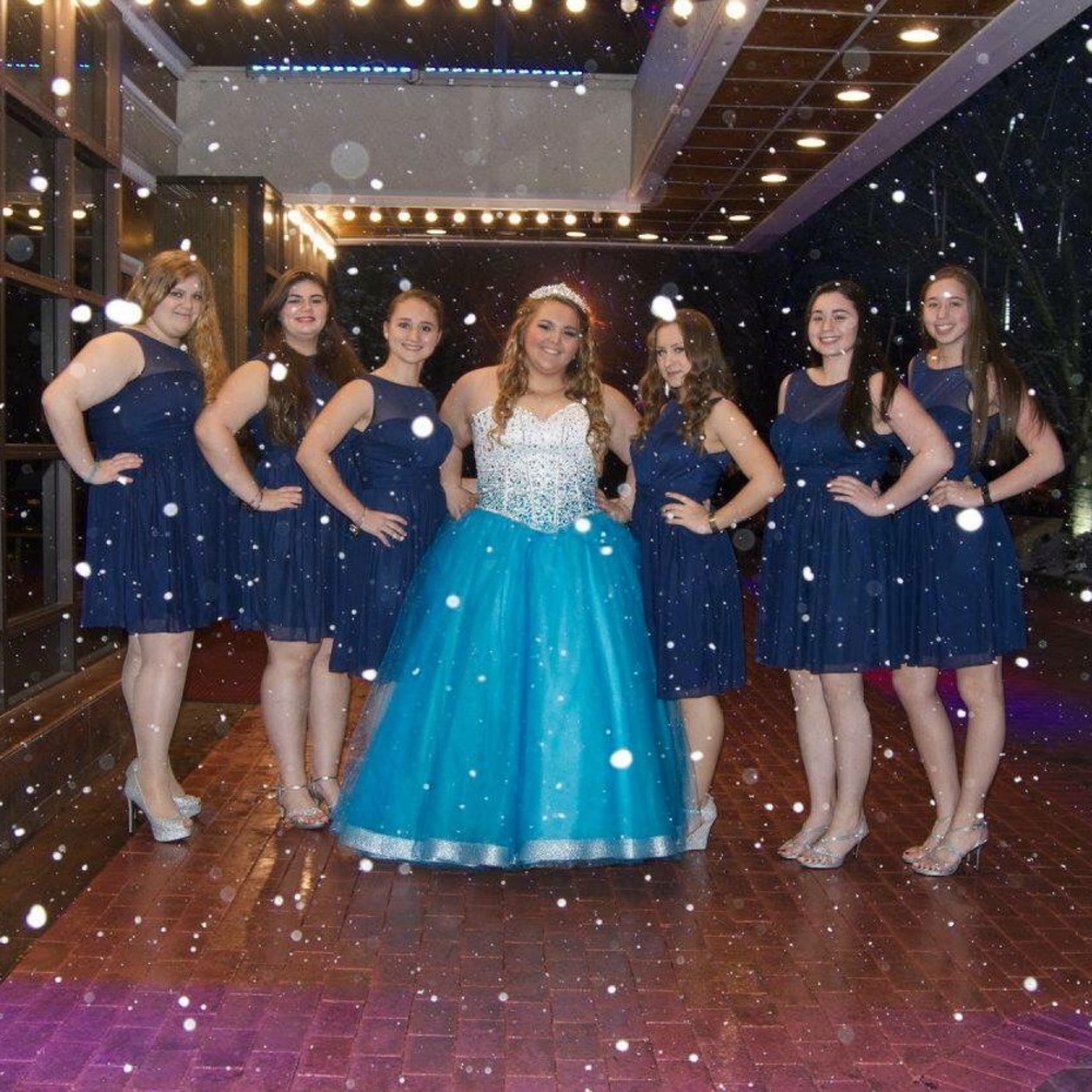 DAVIDS BRIDAL DRESS